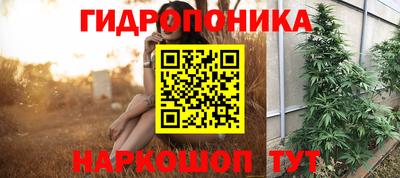 шишки Нальчик