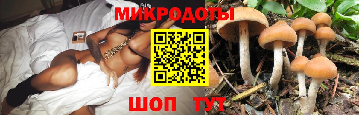 Трёхгорный  Псилоцибиновые грибы GOLDEN TEACHER  купить  цена  Вход с VPN 